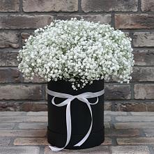 Цветочная композиция из Гипсофила в шляпной коробке #REPLACE_PRED# Азово